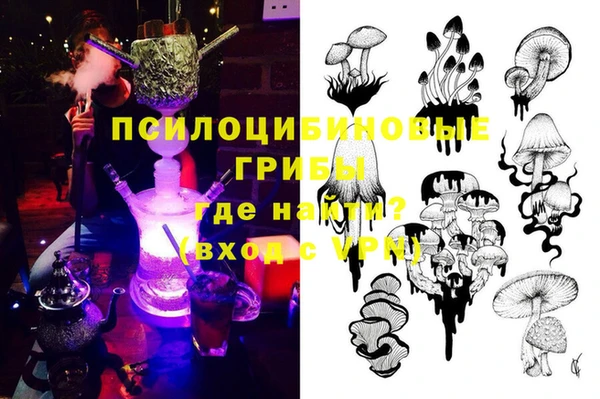 прущий лед Абаза