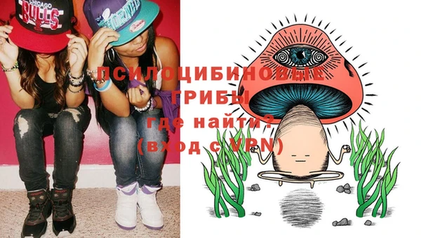 прущий лед Абаза