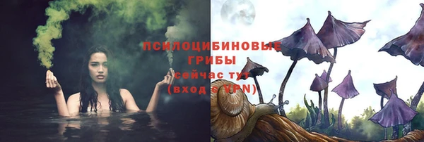 прущий лед Абаза