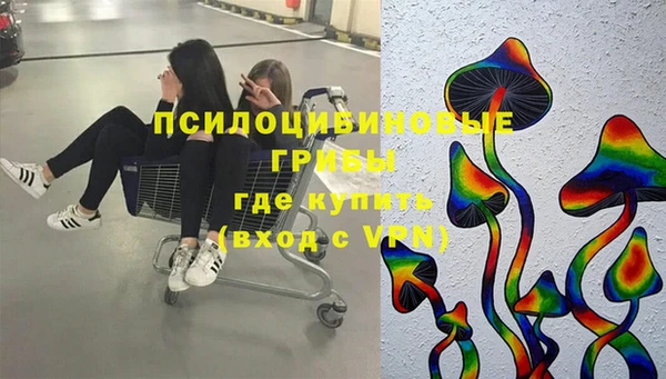 прущий лед Абаза