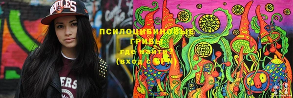 прущий лед Абаза