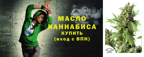 прущий лед Абаза